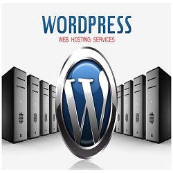 Web Hosting Service for WordPress in Franklin
